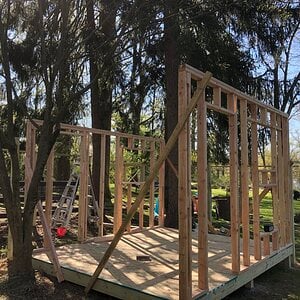 Framing the coop