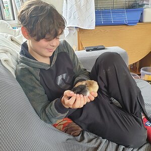 Love at first sight