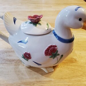 My new Tea-Duck
