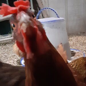 20200424_153844.jpg