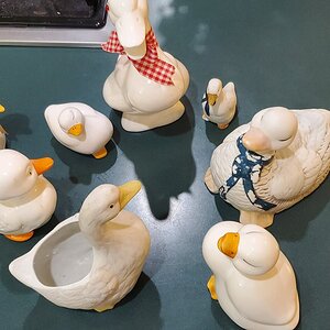 The ceramic duck flock