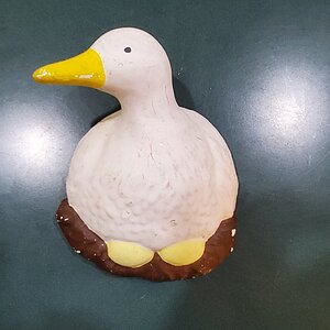 Wall Duck