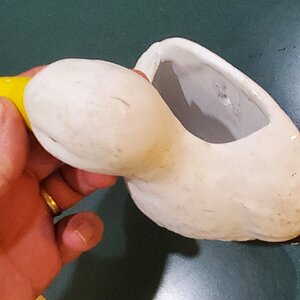 Wall Duck