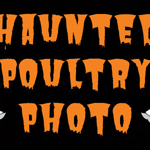 Haunted Poultry Photo.jpg