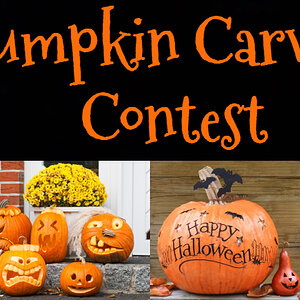 Pumpkin Carving Contest 800x420.jpg