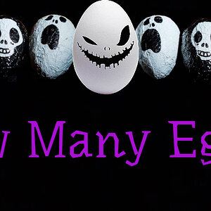 How Many Eggs_.jpg