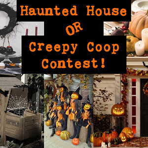 Haunted House or Creepy Coop Contest.jpg