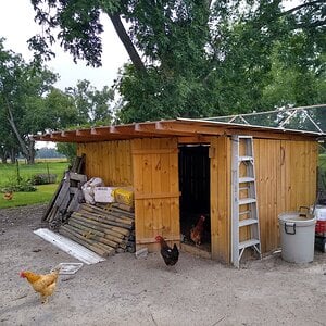 chicken coop.jpg