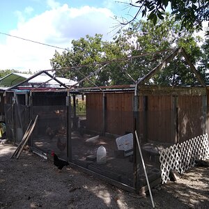 chicken coop2.jpg