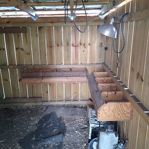 chicken coop7.jpg