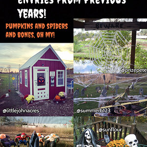 halloween decorations2.jpg