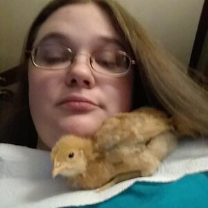 Chick1.jpg