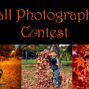 Fall Photography Contest Banner.jpg
