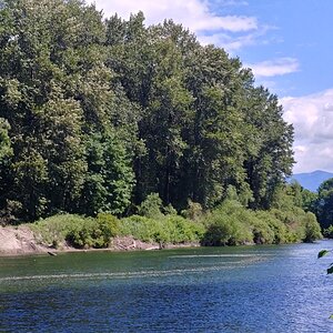 A River!