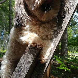 She Climbed the Ladder!!