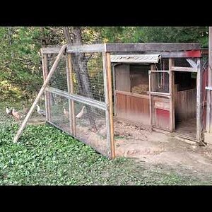 The first pre-fabricated wall of the new duck-pen is up!