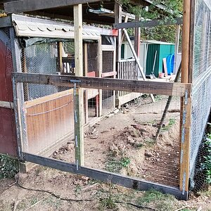 East sidewall is framed and ½ covered in 2x2" welded wire-mesh