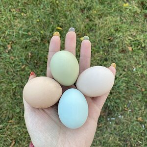 Rainbow Eggs <3