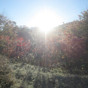 a frosty morning