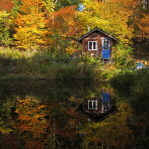 fall colors on the pond