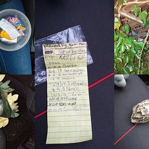 collage_geocaching_1.jpg