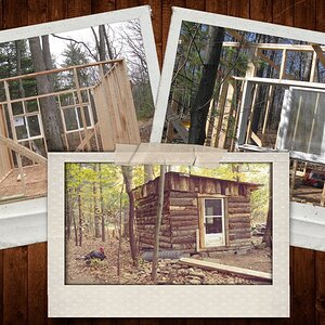 collage_scrounging_1 (2).jpg