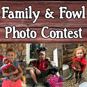Family & Fowl Banner (1).jpg