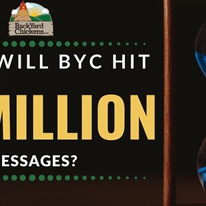 when will byc hit (1).jpg