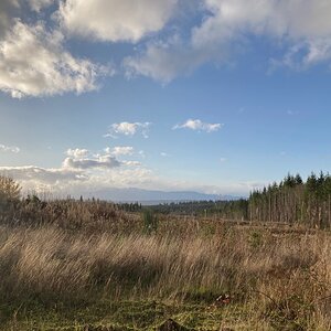 Lower hawk pond/ logging road