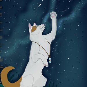 The finished piece for, Hear me, StarClan!