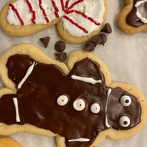 Gingerbread & Candycane