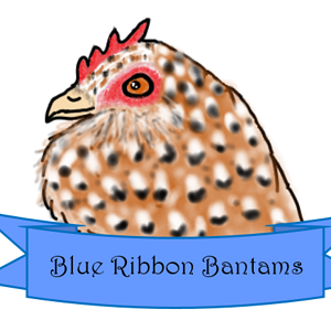 Blue Ribbon Bantams Final Logo