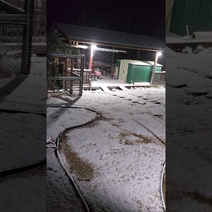 Wide spread White Fungus infection in West Virginia ❄🌨🥶🧊