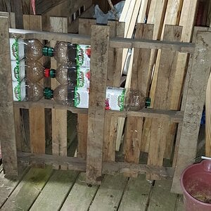 The pallet with just seven juice bottles inserted