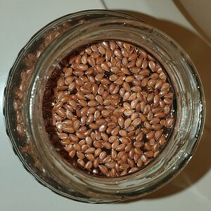 Flax seeds in the soaking glass