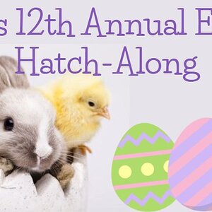 Easter Rabbit HAL.jpg