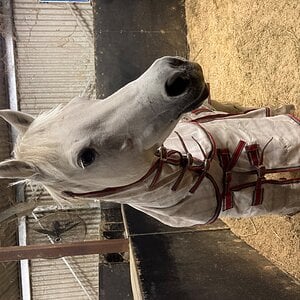 Stable time!