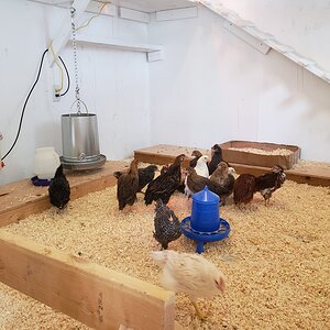 20201018_122045.jpg