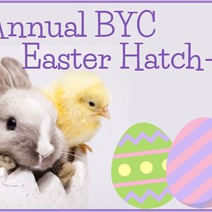 Easter Rabbit HAL5.jpg