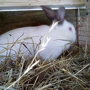 IMG_20201221_131823.jpg