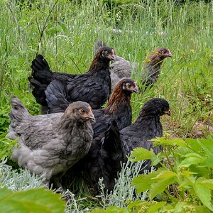 group pic