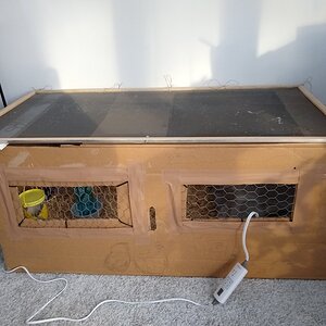 wardrobe box brooder