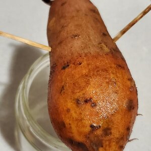 20210228_220320.jpg