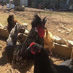 Marco and Lorrie.JPG