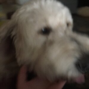 2AF3D223-B0AA-4198-95CE-437C5D572A94.jpeg
