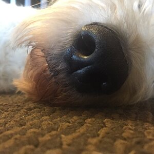 33C557EE-DF7A-4CE9-9810-DC35D2C32320.jpeg