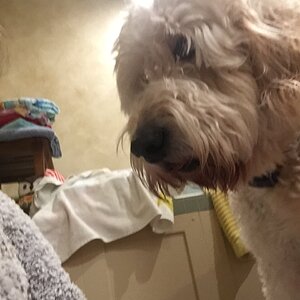 E35DE9CE-D953-46B0-B6B0-D6C66863EFE1.jpeg