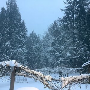 03103533-C6F5-446A-A15D-D8C1C5568587.jpeg