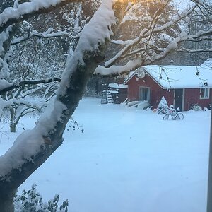 85F80DE1-1B23-4702-AB41-CEEF32403627.jpeg