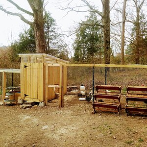 Flora Luna Farm ~ Chicken and Duck Coop and Runs